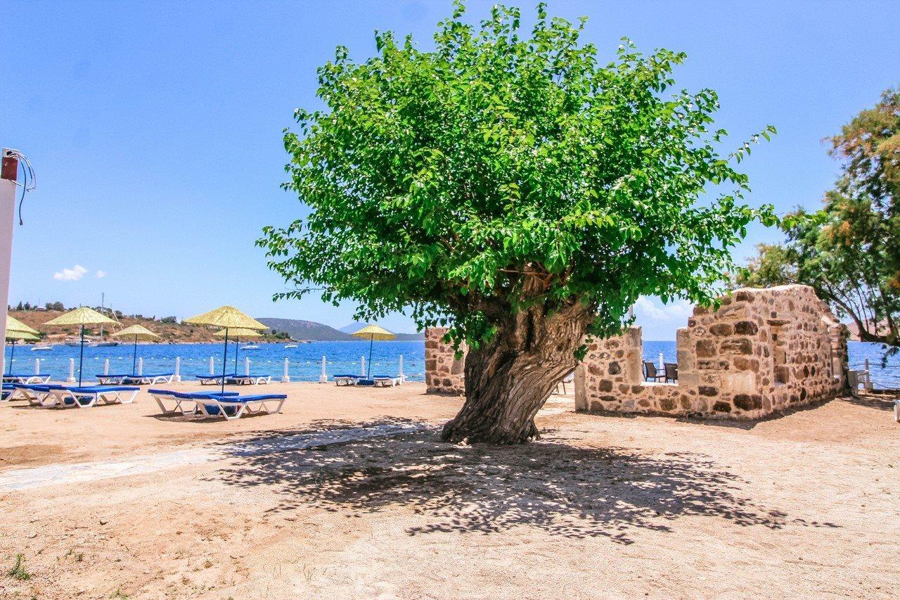 Hotel Club Muskebi Bodrum Exterior foto
